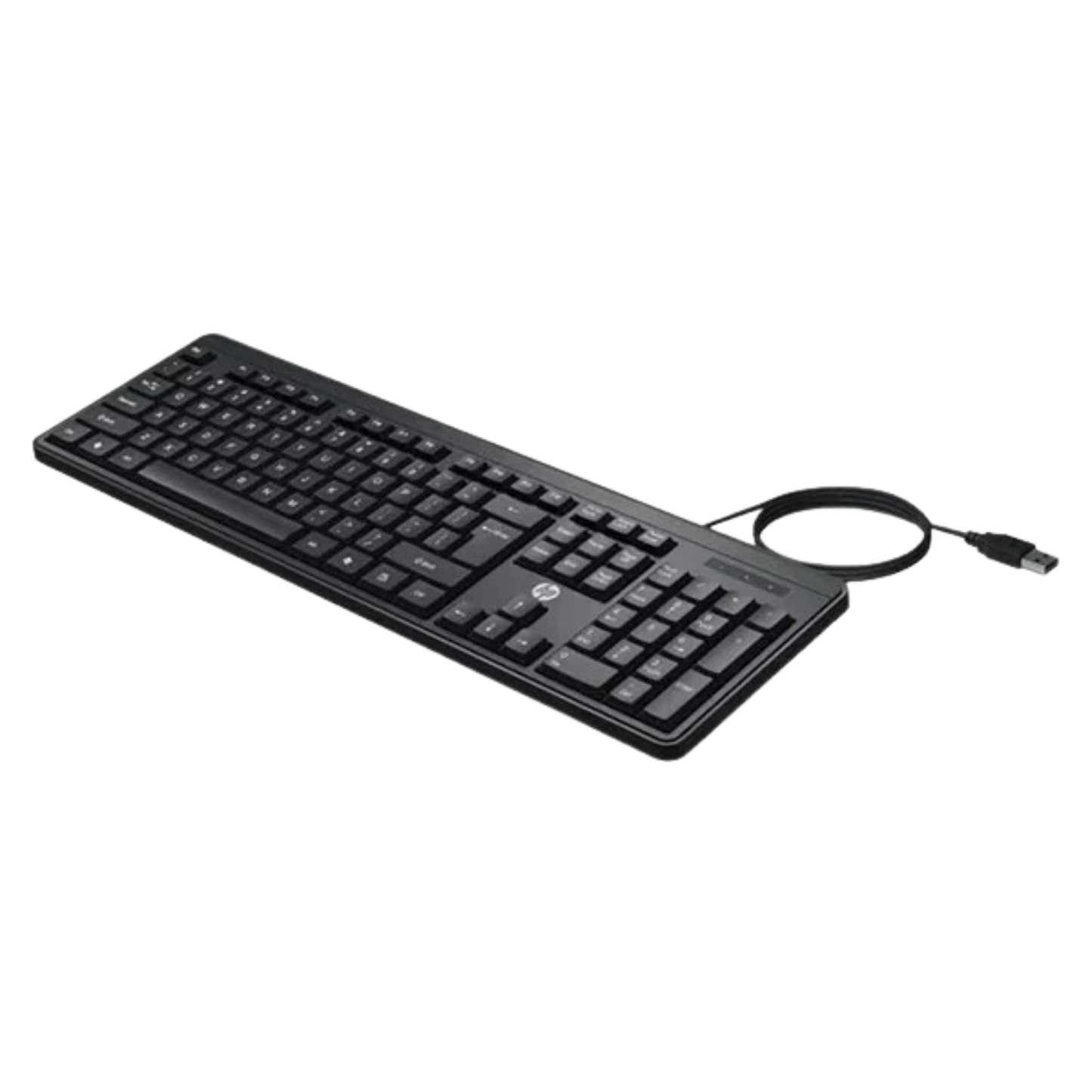 HP K100 Wired Keyboard