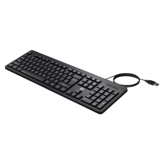 HP K100 Wired Keyboard