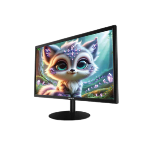 INTEX IT-1490 48.2CM 19" Computer Monitor